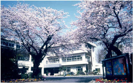 成田小学校校舎の外観写真