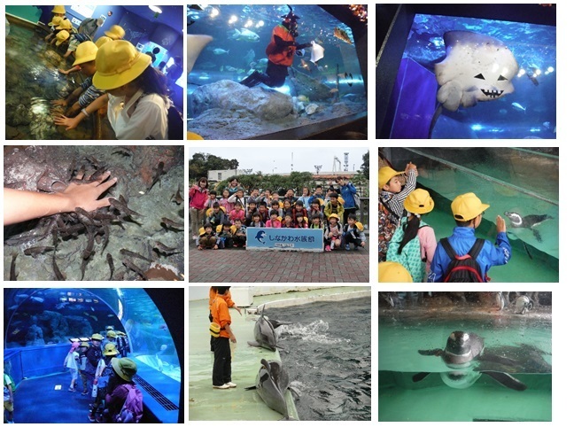 しながわ水族館