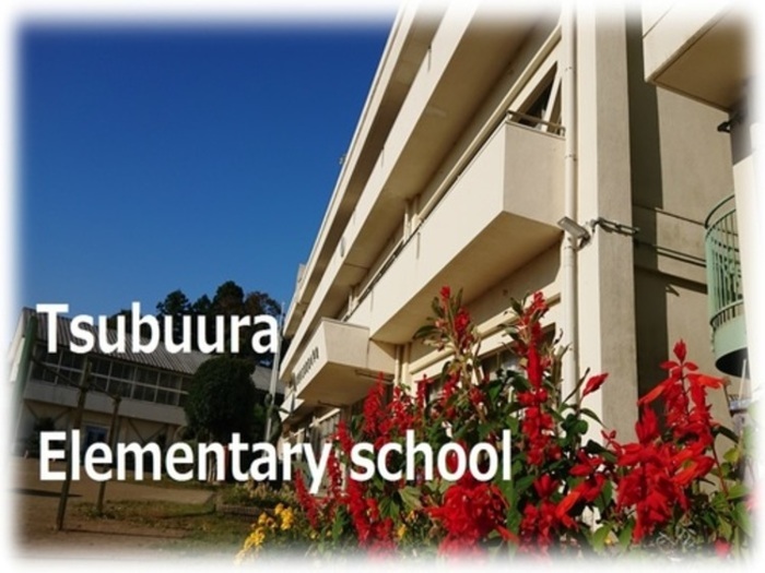 津富浦小学校校舎の外観写真