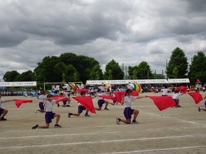 体育祭3