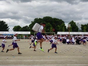 体育祭4