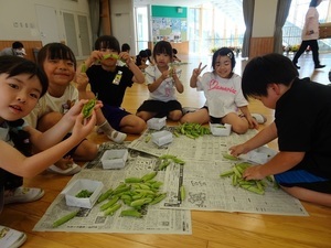 さやむき1年