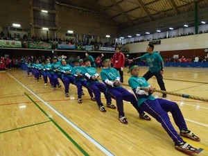 アレキ