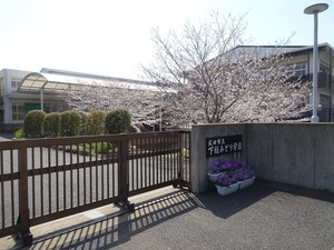 満開の桜