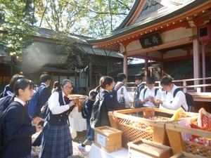 7年川越１