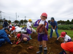 3年サツマイモ掘り